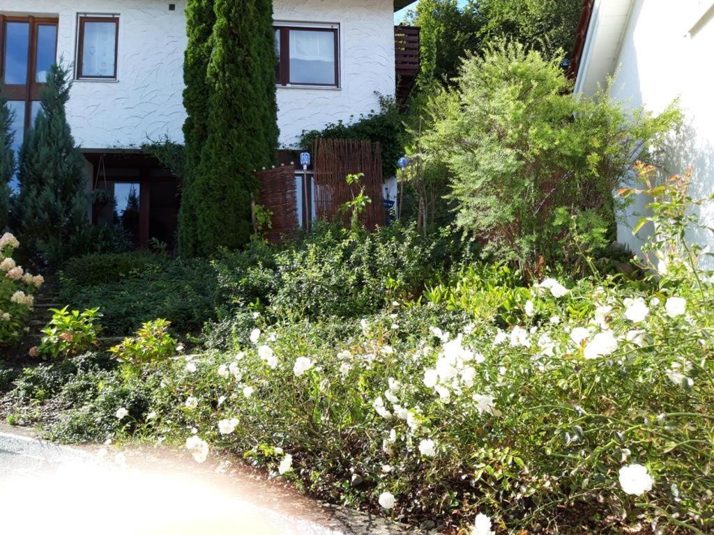 Ferienwohnung Rosa Mueller Wangen im Allgäu Exterior photo