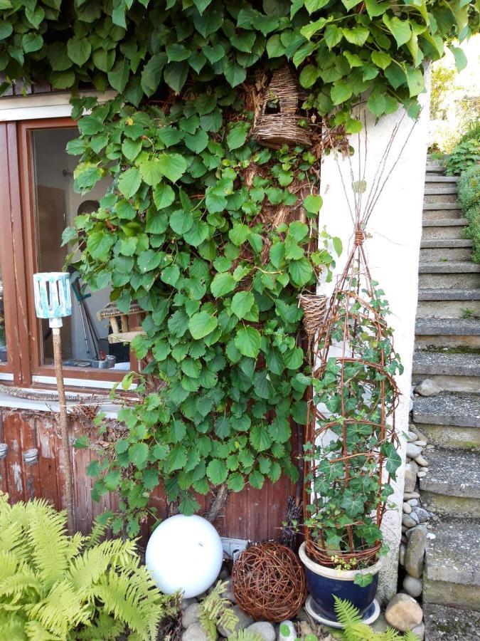 Ferienwohnung Rosa Mueller Wangen im Allgäu Exterior photo